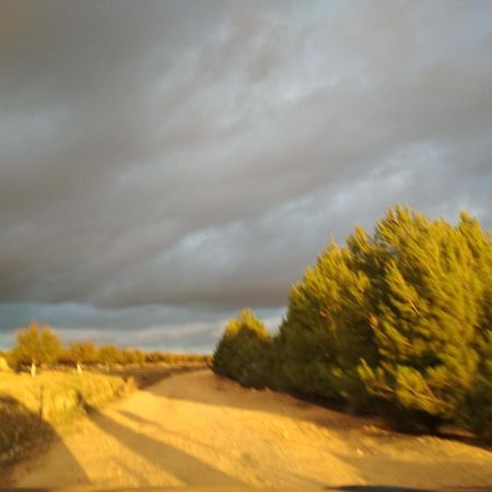 Casa Rural La Galana Albacete Chinchilla de Monte-Aragón Esterno foto