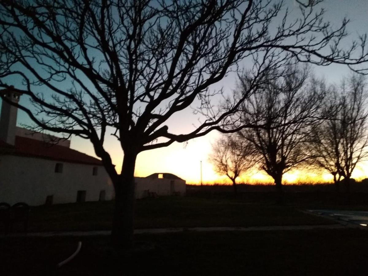 Casa Rural La Galana Albacete Chinchilla de Monte-Aragón Esterno foto