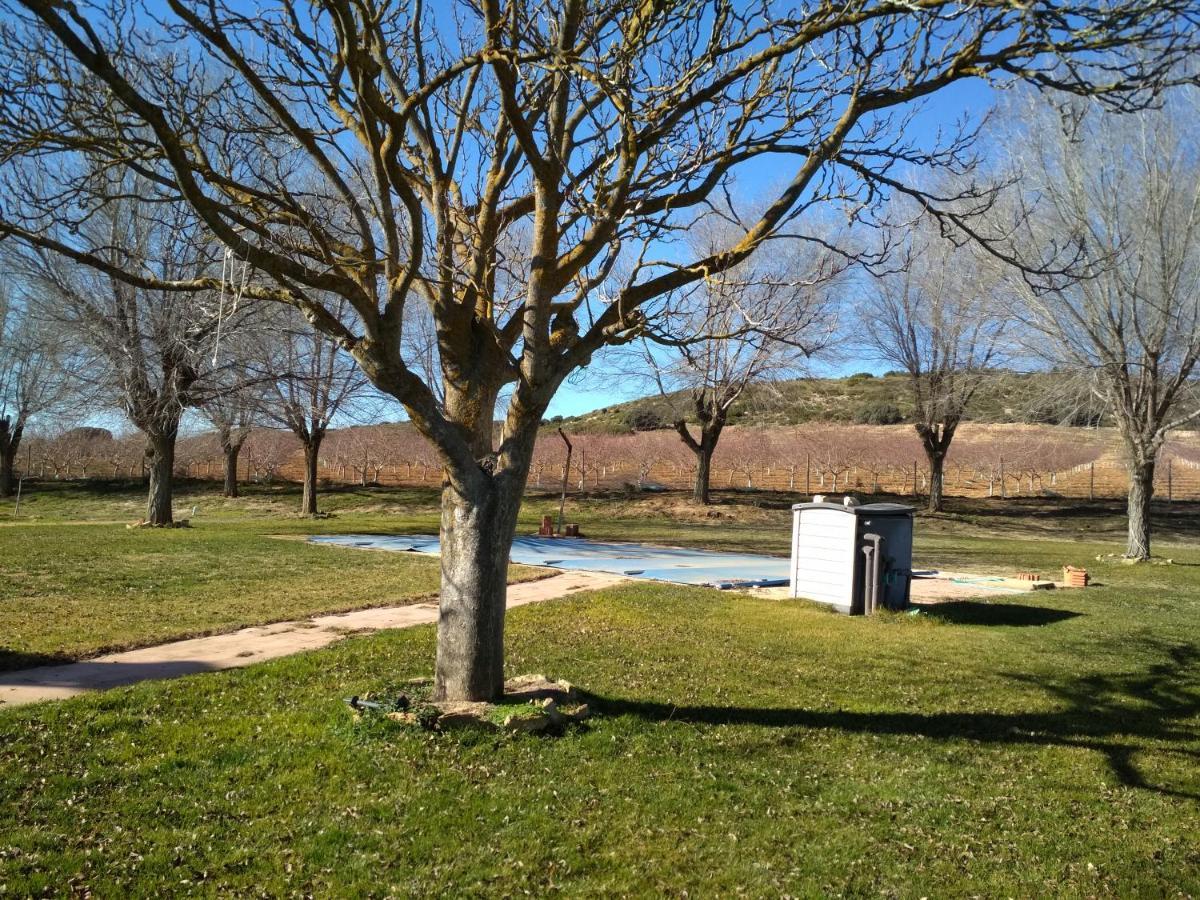 Casa Rural La Galana Albacete Chinchilla de Monte-Aragón Esterno foto