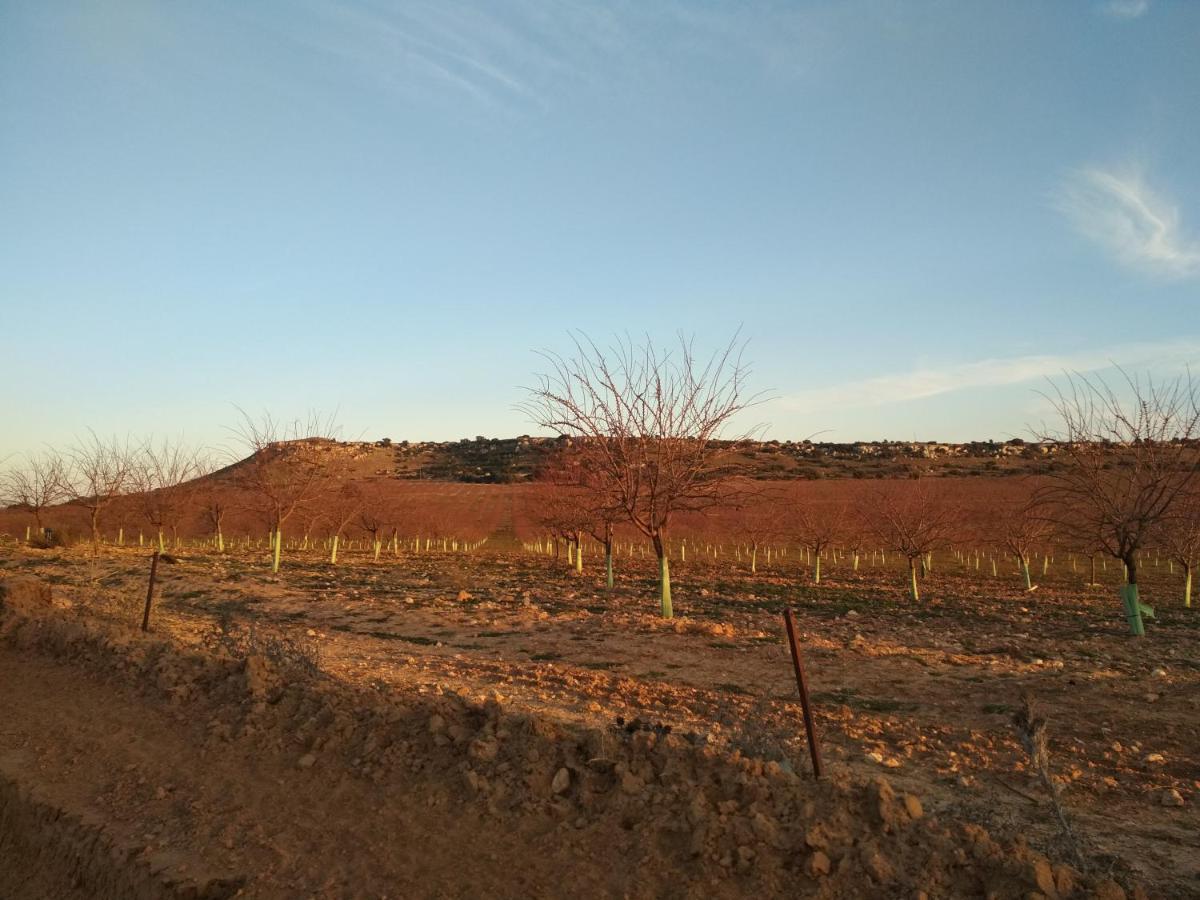 Casa Rural La Galana Albacete Chinchilla de Monte-Aragón Esterno foto