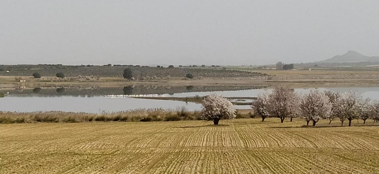 Casa Rural La Galana Albacete Chinchilla de Monte-Aragón Esterno foto